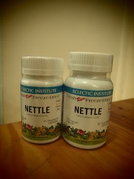 NETTLE[1].jpg